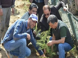 Meet the Tree Man of Kashmir Who has Planted Over 2 Lakh Trees & Aims to Reach 1 million by 2030