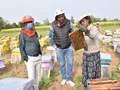 Couple from Gujarat Earns Rs 12 Lakh Per Month by Selling Organic Honey