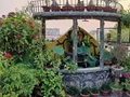 Meet the Patna Couple Who Created Organic Terrace Garden with 18 Fruit Varieties & Valley of Flowers
