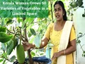 From Jackfruit, Chinese Potato to Spices: Kerala Women Grows 50 Varieties of Vegetables in a Limited Space