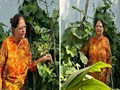 Woman Studies Gardening in Her 60s, Grows Organic Veggies in Her Terrace 