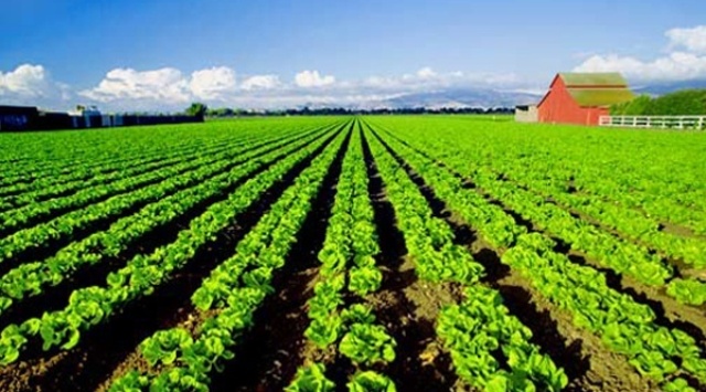 Sustainable Agriculture Is Important Industry All Over