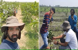 Uttarakhand Farmer Earns Rs 1 Crore by Growing Residue-Free Thai Guavas 