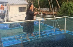 Kerala Woman Earns 5 Lakh Through Cage Fishing Using Govt Subsidy; Wins CMFRI Award
