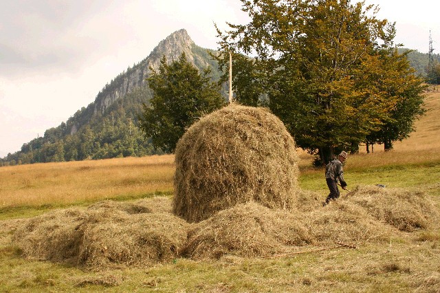 Hit the hay