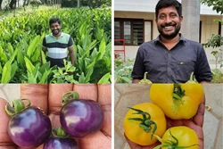 Coimbatore Resident Trades Corporate Life for Agriculture, Creates Seed Bank for Rare Veggies