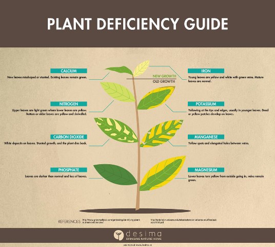 Explained : 14 nutrients required by Plants for best growth & development