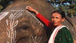 India's First Female Elephant Mahout, Parbati Baruah Honoured with Padma Shri: A Look at Her Journey