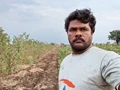 Meet Vijay Dandime Who is Earning Rs. 2 Lakh from Guavas in a Sugarcane-Dominated Region
