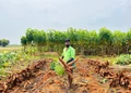 Engineer Turned Farmer: Vinston Churchill’s Inspiring 50-Acre Journey with Drip Irrigation in Sivagangai, Tamil Nadu