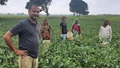  UP Farmer's Direct Vegetable Exports Forge New Path in Agricultural Commerce