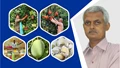 Alok Kumar's Innovative Approach is Giving Bihar's Mangoes New Ways of Commercialization via Apna Khet Foundation 