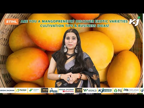 Are You a Mangopreneur? Discover Exotic Varieties, Cultivation Tips & Business Ideas!