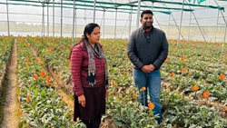 From Engineering to Blooming Success: Engineer Turned Floriculture Farmer Earns About Rs 30 Lakhs Annually