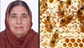 Meet the Woman Honeybee Entrepreneur from Punjab Who Trained Over 900 Farmers in Beekeeping